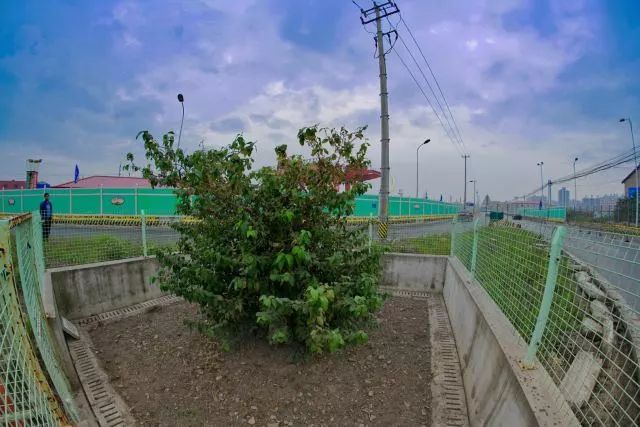 18號線下鹽路最新動態