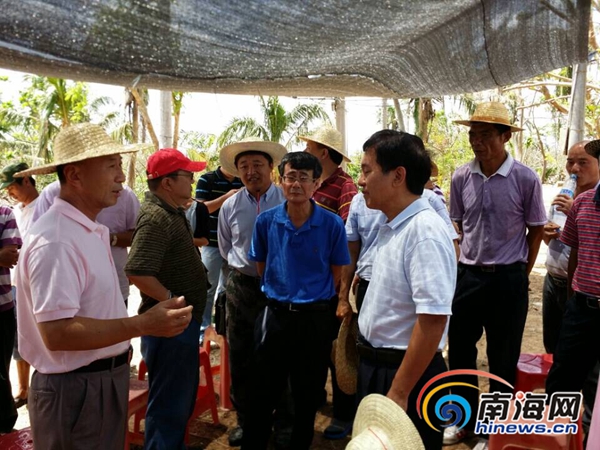 海南朱華友的最新動態，成就概覽與未來展望